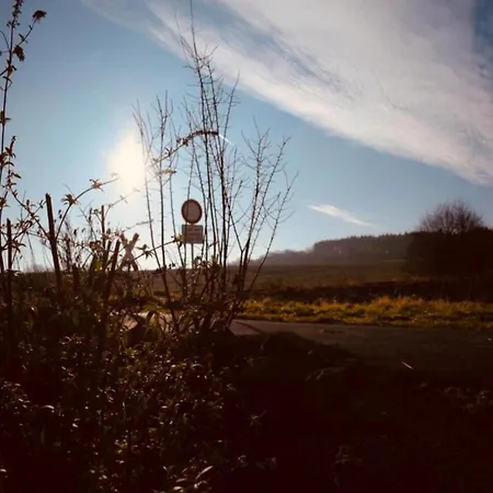 Modern With 2 Bathrooms In Apartment *