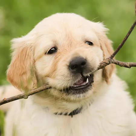 Modern With 2 Bathrooms In * Lirstal