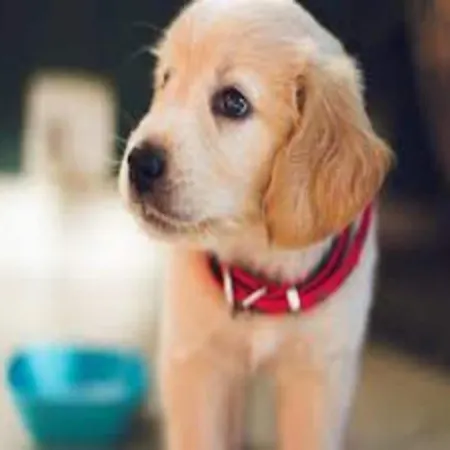 Modern With 2 Bathrooms In