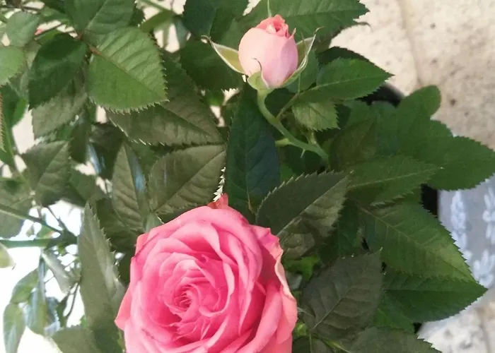 Modern With 2 Bathrooms In Lirstal