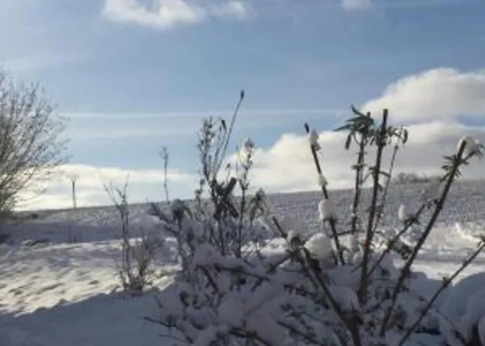 Modern With 2 Bathrooms In *