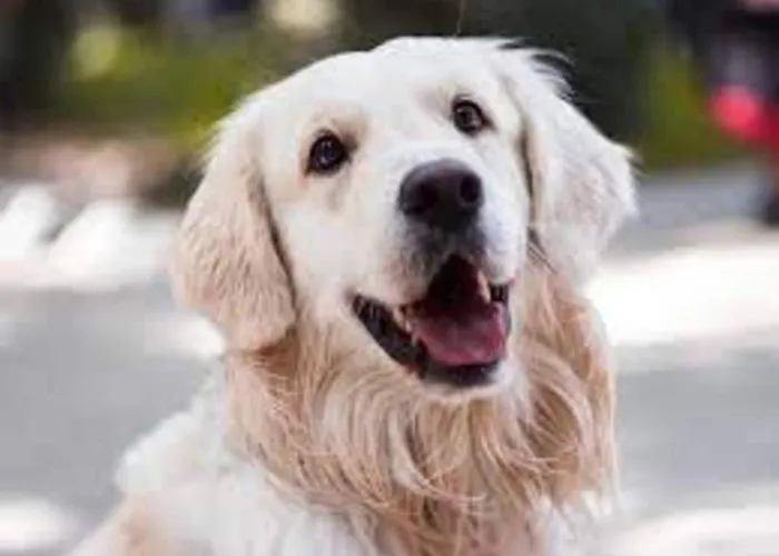 Modern With 2 Bathrooms In