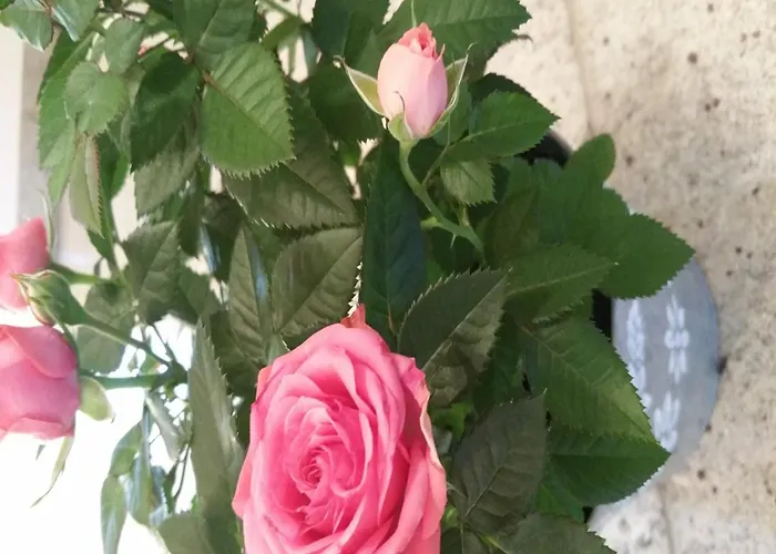 Modern With 2 Bathrooms In * Lirstal